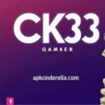 CK33 Game
