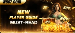 W567 APK