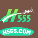 H555 Game