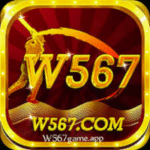 W567 Game